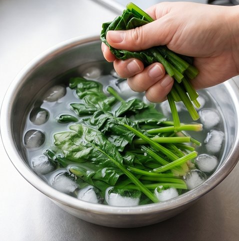고마아에 | 일본식 시금치 무침 조리 단계 2 이미지 - 데친 시금치를 바로 찬물에 옮겨 헹군 뒤, 손으로 물기를 단단히 짠다.